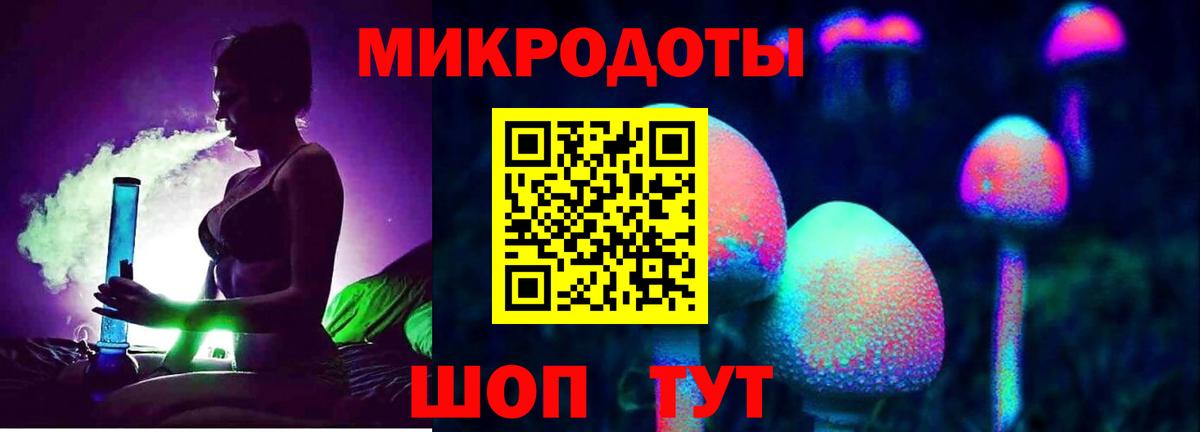 Ачхой-Мартан  Псилоцибиновые грибы Psilocybe  Вход с VPN 
